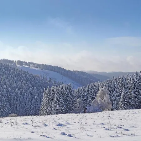 Prázdninový dům St, Andreasberg, Haus 37 *
