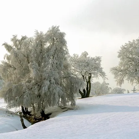 Prázdninový dům St, Andreasberg, Haus 37
