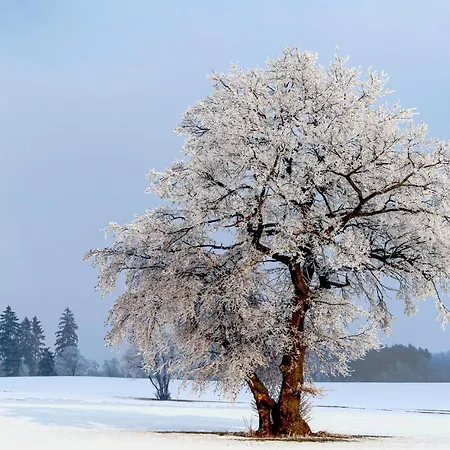 St, Andreasberg, Haus 37 * Sankt Andreasberg